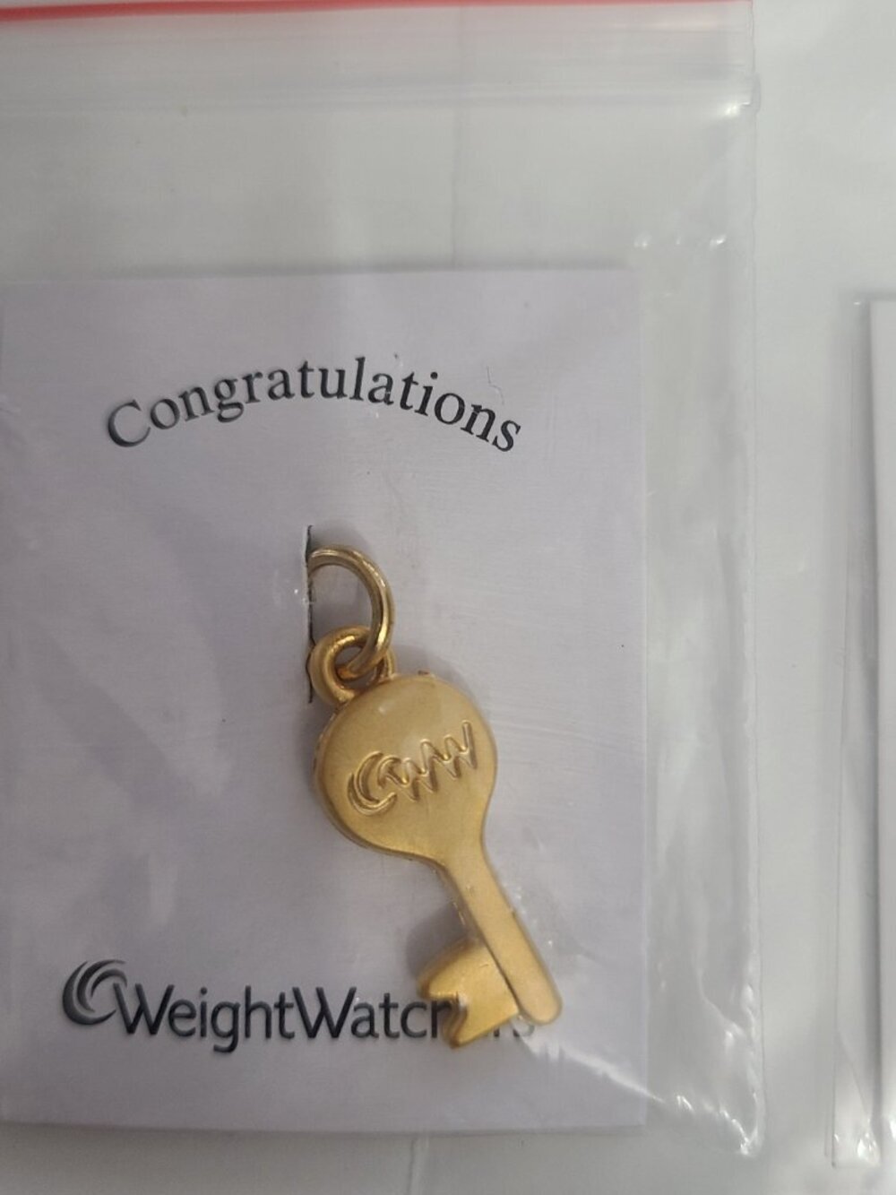 Weight Watchers Charms WW - Picture 2 of 4